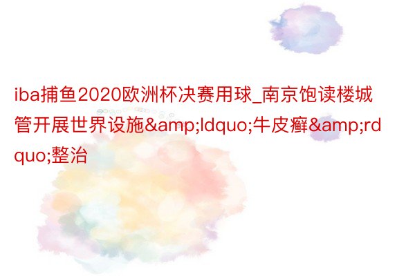 iba捕鱼2020欧洲杯决赛用球_南京饱读楼城管开展世界设施&ldquo;牛皮癣&rdquo;整治