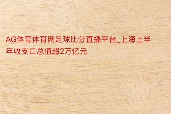 AG体育体育网足球比分直播平台_上海上半年收支口总值超2万亿元