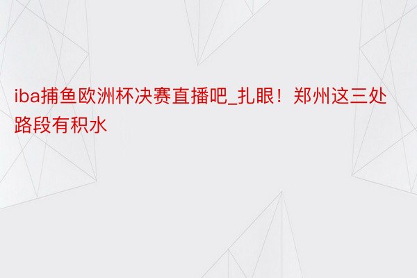 iba捕鱼欧洲杯决赛直播吧_扎眼!郑州这三处路段有积水