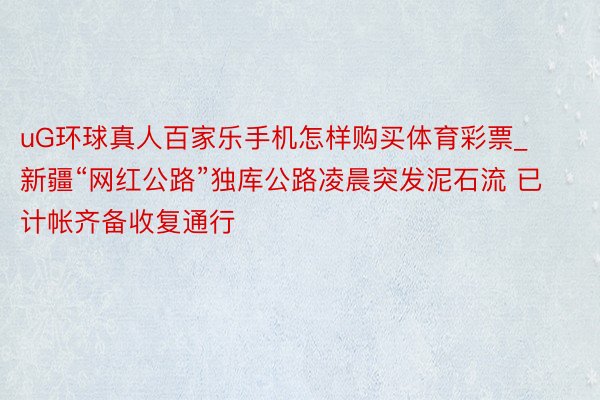 uG环球真人百家乐手机怎样购买体育彩票_新疆“网红公路”独库公路凌晨突发泥石流 已计帐齐备收复通行